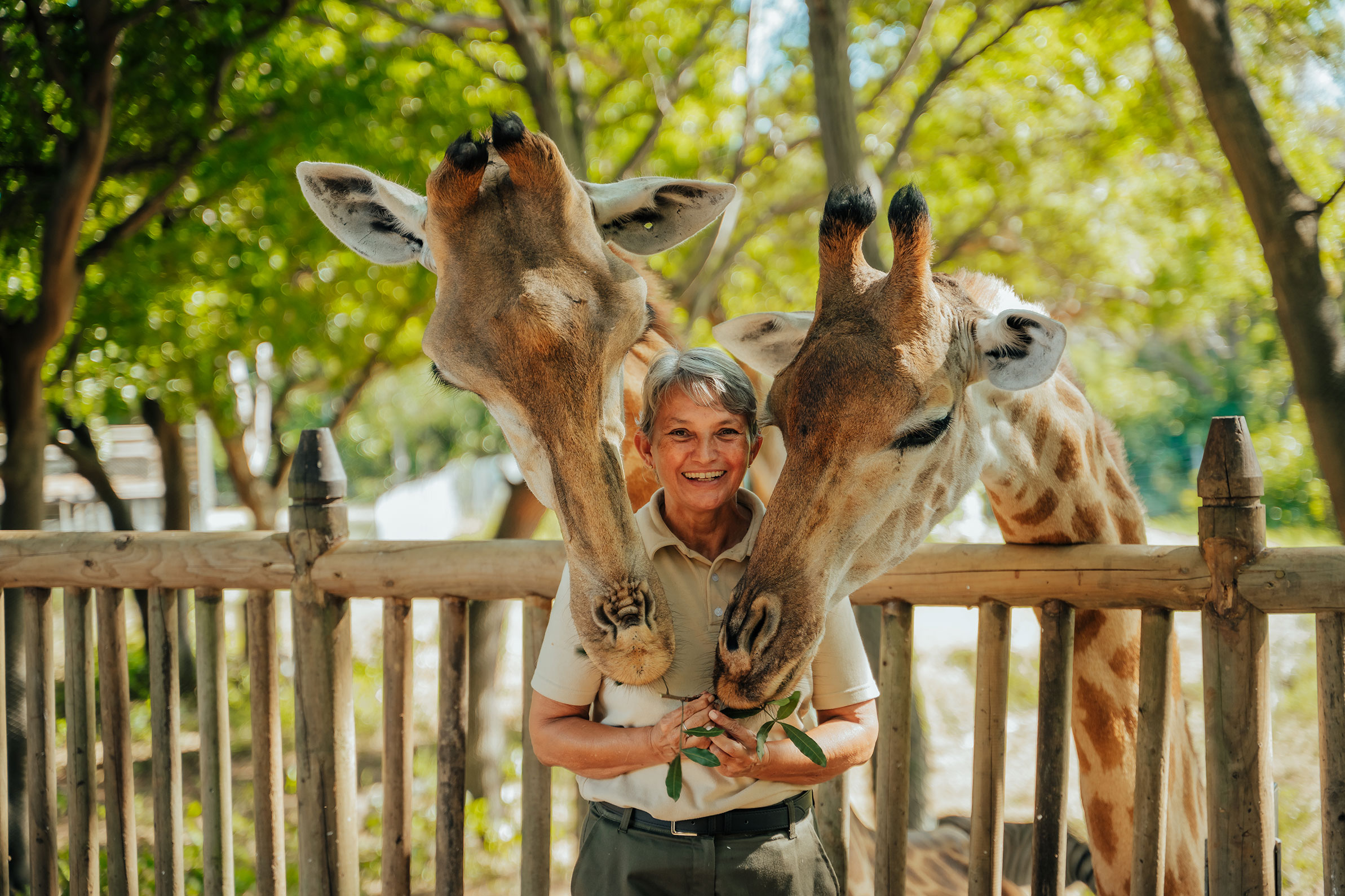 Medine-Herobanner-leisure